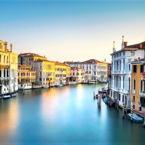 La natura riconquista Venezia