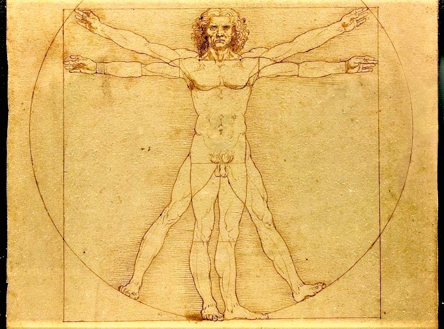 L'Uomo Vitruviano