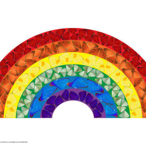 Arcobaleno Speranza farfalle Damien Hirst