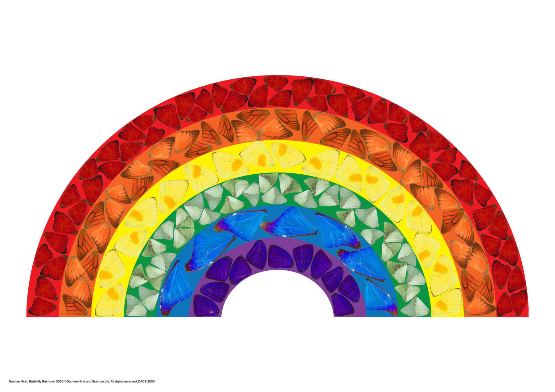 Arcobaleno Speranza farfalle Damien Hirst