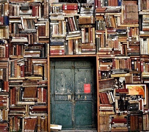 giornata Mondiale del Libro scrittori Foto di Nino Carè da Pixabay