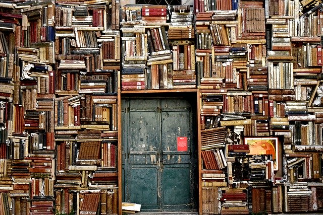giornata Mondiale del Libro scrittori Foto di Nino Carè da Pixabay