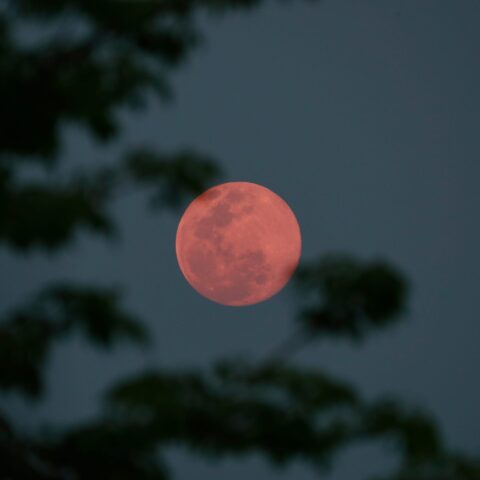 supermoon, superluna adesso
