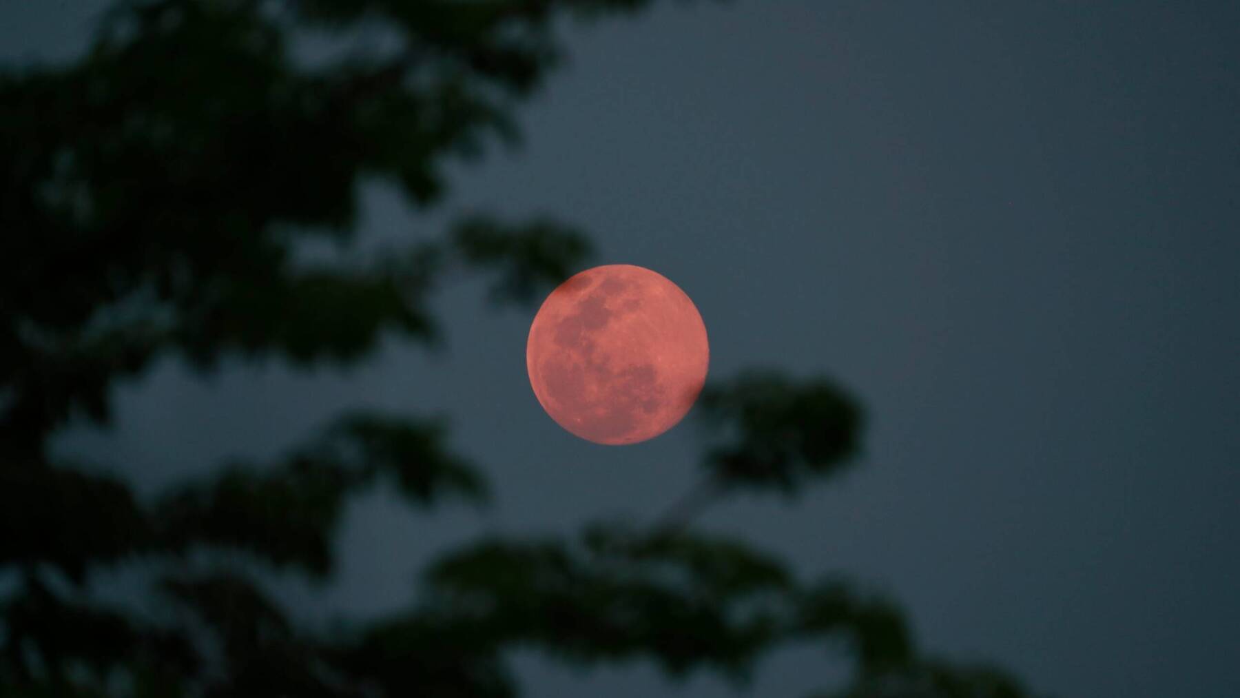 supermoon, superluna adesso