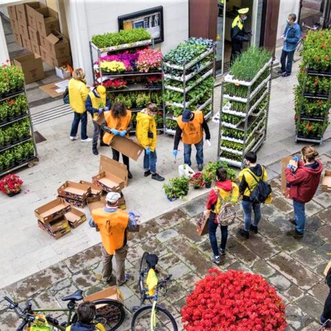 coltivAzioni ha dato i suoi frutti padova fiori consegna