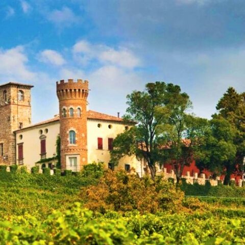 Castello di Buttrio