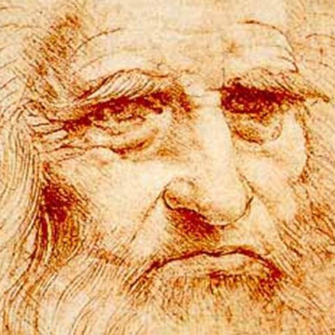 uomo Vitruviano Disegno