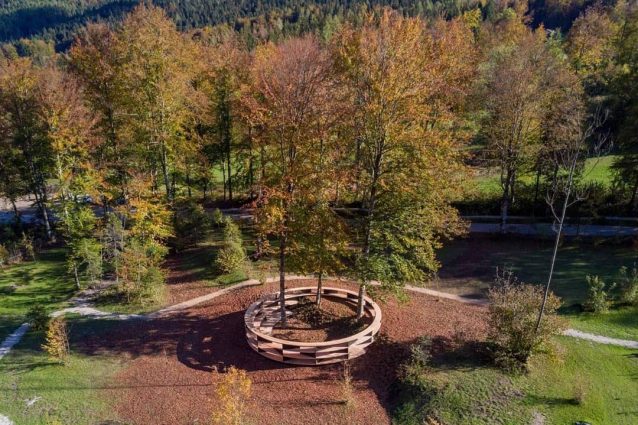 Tree Room
