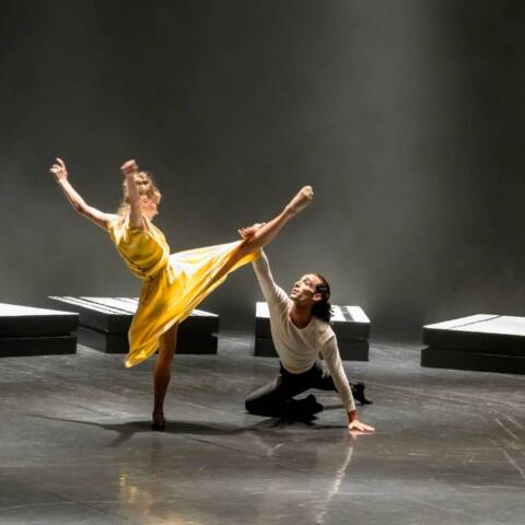 La Danza-Don Juan a Vicenza