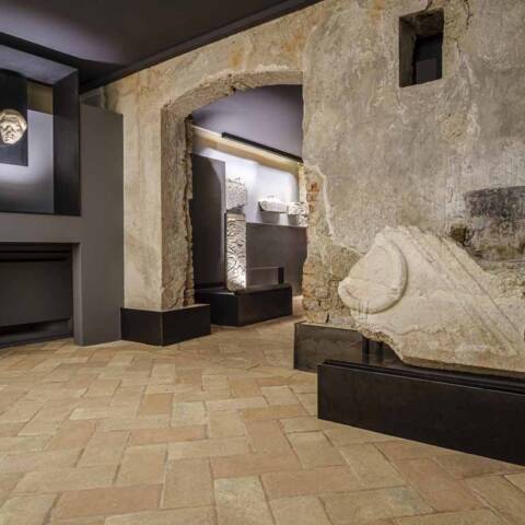 L'Archeologia nella Venezia dolomitica