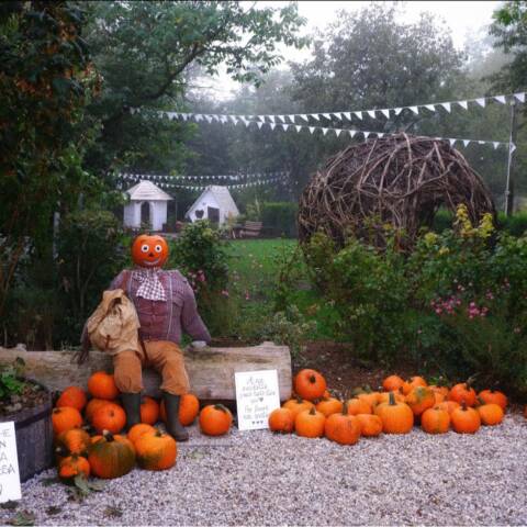 Il villaggio più “zuccoso” con Nonno Andrea, Azienda Agricola a Villorba di Treviso