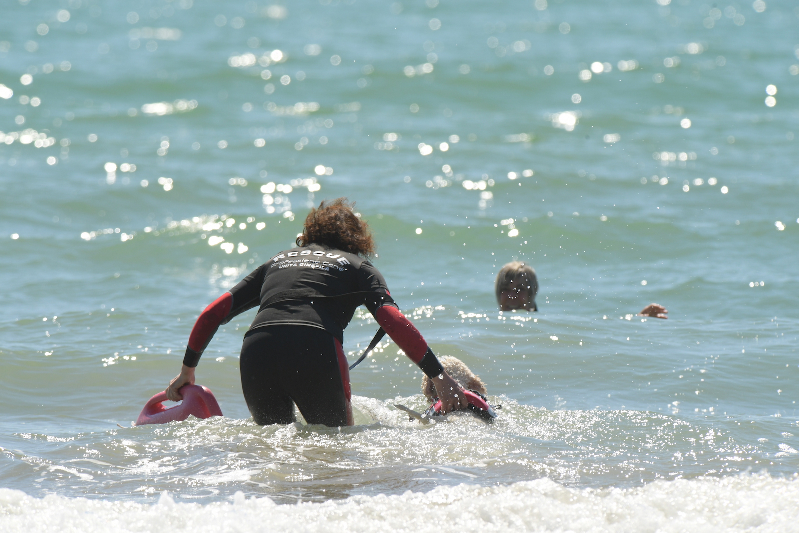 I cani bagnini tornano a Caorle: l'evento Bauwatch promette esibizioni e divertimento per tutti