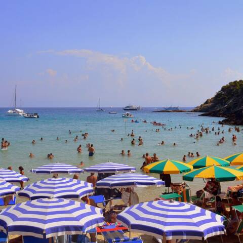 Foto di Gianni Crestani via Pixabay Ferragosto